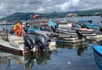Mayotte : Une filière pêche en quête de structuration