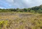 Nouvelle-Calédonie : Vers une réhabilitation des carrières de Nengone, dans le cadre du projet Blossom