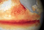 Réchauffement climatique : quelles conséquences de l'arrivée d'El Niño pour les territoires d’Outre-mer&nbsp;?