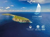 Nouvelle-Calédonie : La Corail 600, première course hauturière organisée dans le parc naturel de la mer de Corail