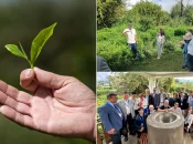 La Réunion a accueilli la première édition de l’International Tea Symposium
