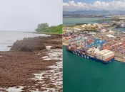 Des délégations de députés européens aux Antilles pour évaluer l’impact des sargasses, des taxes portuaires et du marché unique dans les RUP