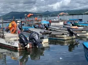 Mayotte : Une filière pêche en quête de structuration