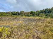 Nouvelle-Calédonie : Vers une réhabilitation des carrières de Nengone, dans le cadre du projet Blossom