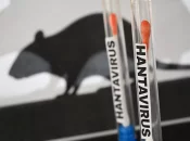 Hantavirus : Le cas contact passé par la Polynésie toujours en isolement à Pitcairn, sept voyageurs autorisés à repartir via Tahiti