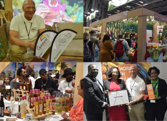 La Guyane reçoit de nouveau le « Stand d’Or » de la Foire de Paris
