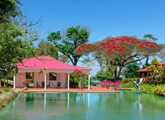 Guadeloupe : Le jardin de Valombreuse récompensé au prix national de l’Art du jardin 2026