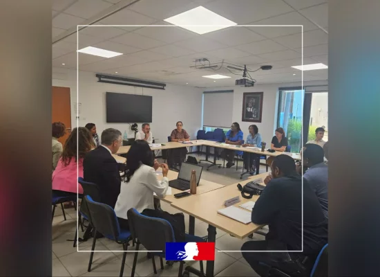 Martinique : Une étape clé dans la coordination inter-régionale de la concurrence pour protéger le pouvoir d'achat