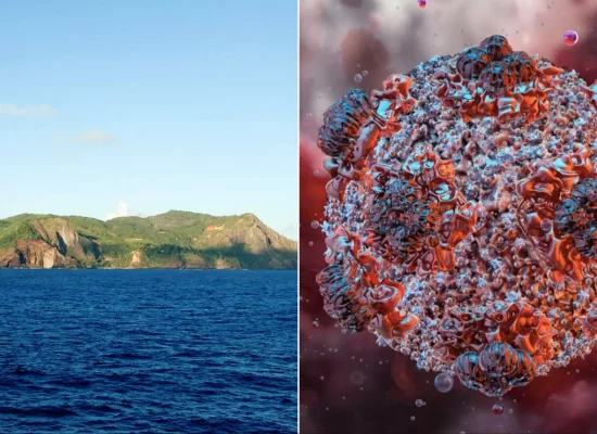 En quarantaine à Pitcairn, un cas d’hantavirus a transité par la Polynésie française