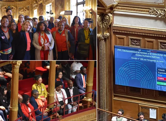 Le Sénat adopte à l'unanimité la restitution de dépouilles d'Amérindiens à la Guyane, 130 ans après leur mort dans des « zoos humains »