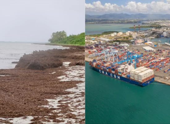 Des délégations de députés européens aux Antilles pour évaluer l’impact des sargasses, des taxes portuaires et du marché unique dans les RUP
