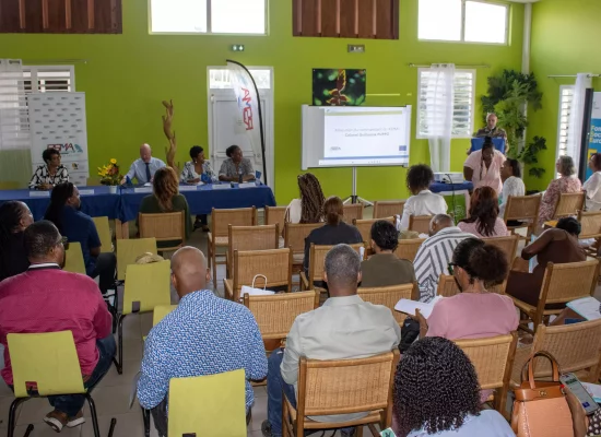 En Martinique, une conférence au RSMA pour faire connaître le Fonds social européen aux porteurs de projets
