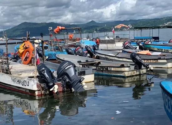 Mayotte : Une filière pêche en quête de structuration