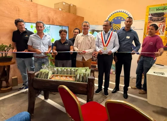 La Réunion&nbsp;: À Bras-Panon, la coopérative Pro Vanille inaugure une unité de vitroplants pour soutenir la filière vanille réunionnaise