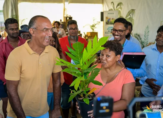 La Réunion&nbsp;: Bras-Panon accélère le développement de la filière fruit à pain pour le territoire