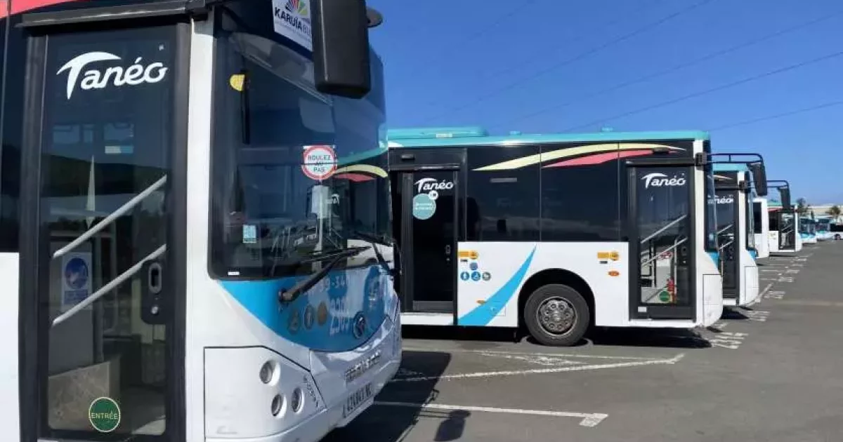 Provinciales en Nouvelle-Calédonie : les bus Tanéo circuleront ...