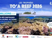 L’Ifrecor Polynésie lance la 3ème édition des Trophées TO’A Reef, les candidatures ouvertes