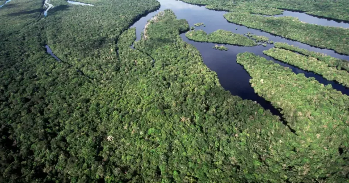 Brésil: la déforestation amazonienne au plus bas niveau depuis près de ...